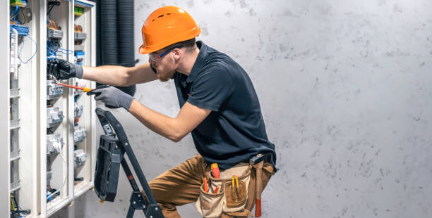 Best Local Electrician Companies  in Mayville, NY
