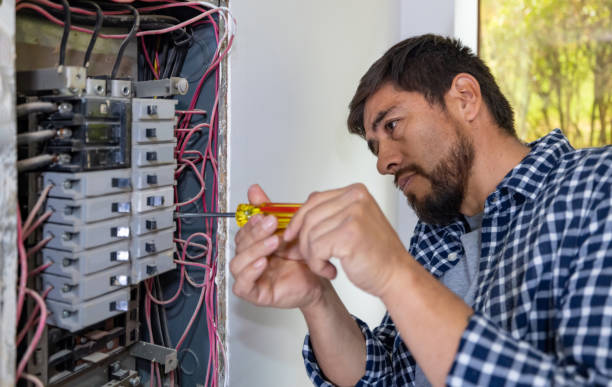 Best Electrical Rewiring Services  in Mayville, NY